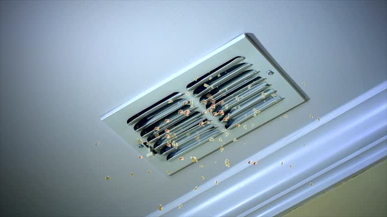 Best Air Duct Cleaning Near Me  in Luverne, AL