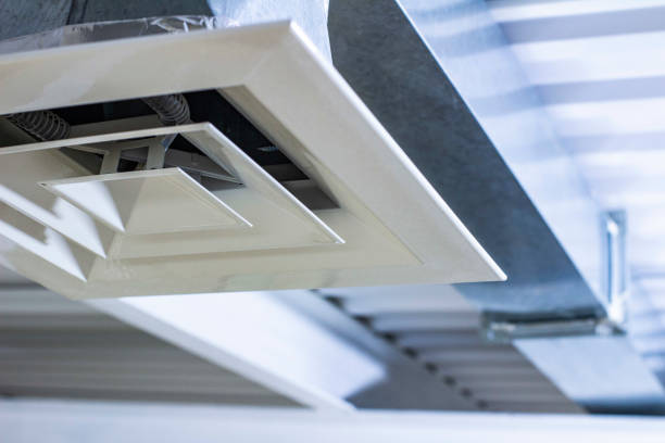 Best Professional Duct Cleaning Services  in Luverne, AL