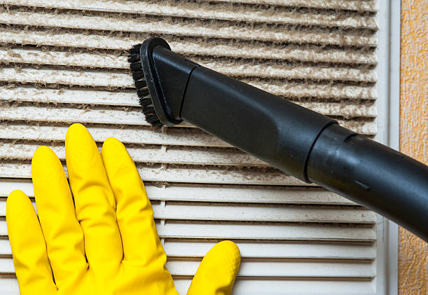 Best Local Air Duct Cleaning Services  in Luverne, AL